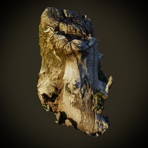 Tree Stump preview image